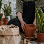 Persona trasplantando plantas en macetas