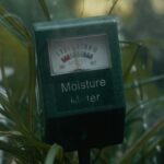 Medidor de humedad en plantas.