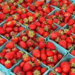 Plantar fresas en casa