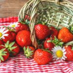 Plantar fresas en casa